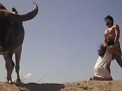 विंटेज नंगा नाच